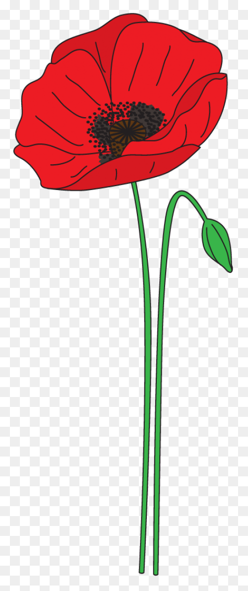 Poppy Clipart Red Poppy - Memorial 