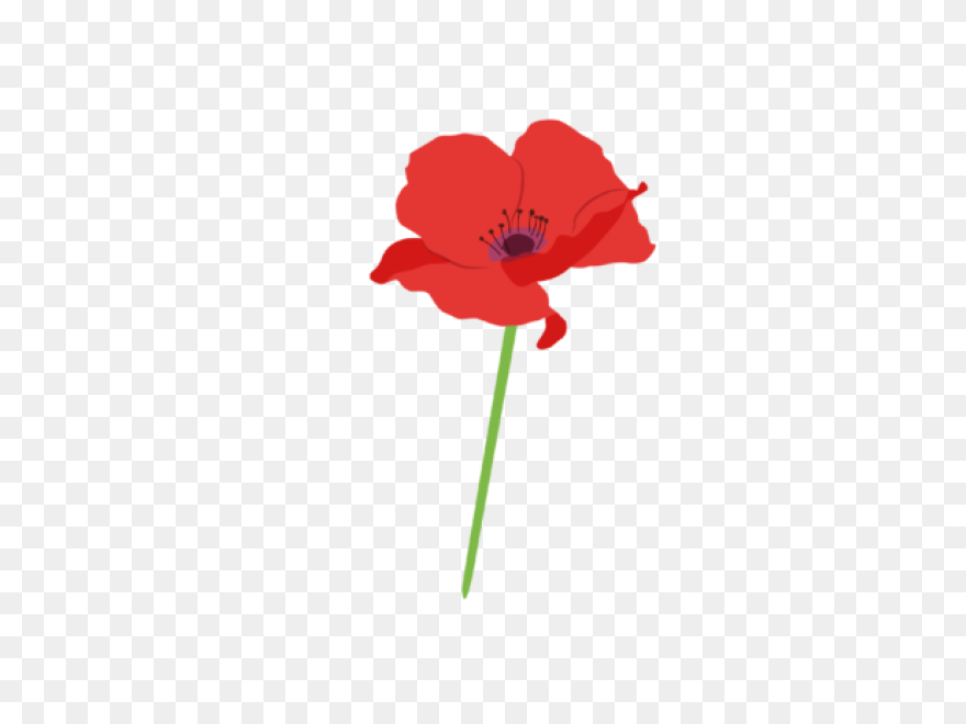 Poppy Clipart Red Poppy - Memorial 