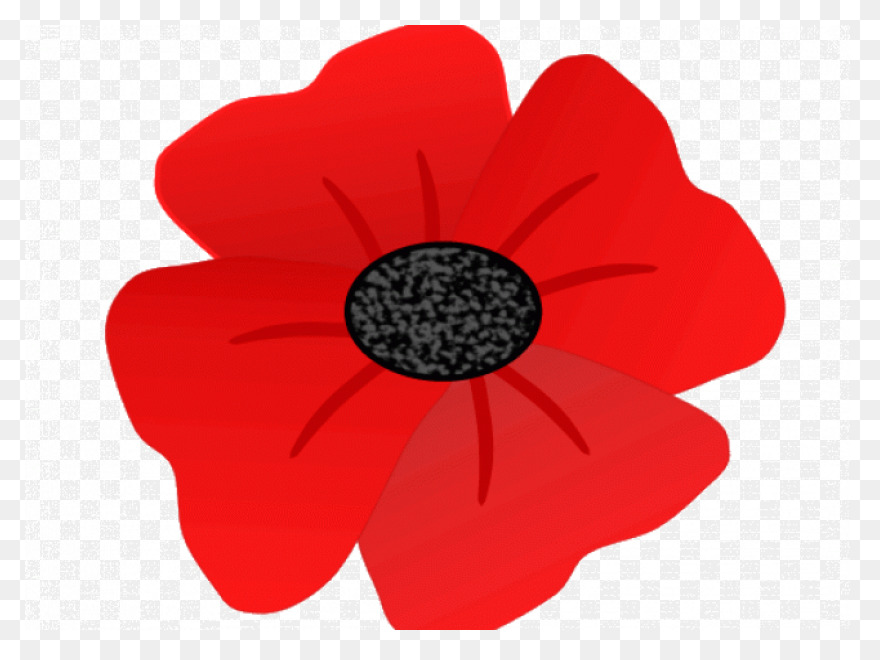 Poppy Clipart Red Poppy - Memorial 
