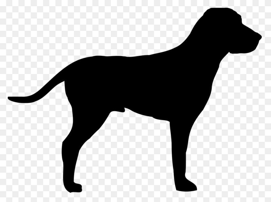 Teacher Pointer Cursor – Custom C