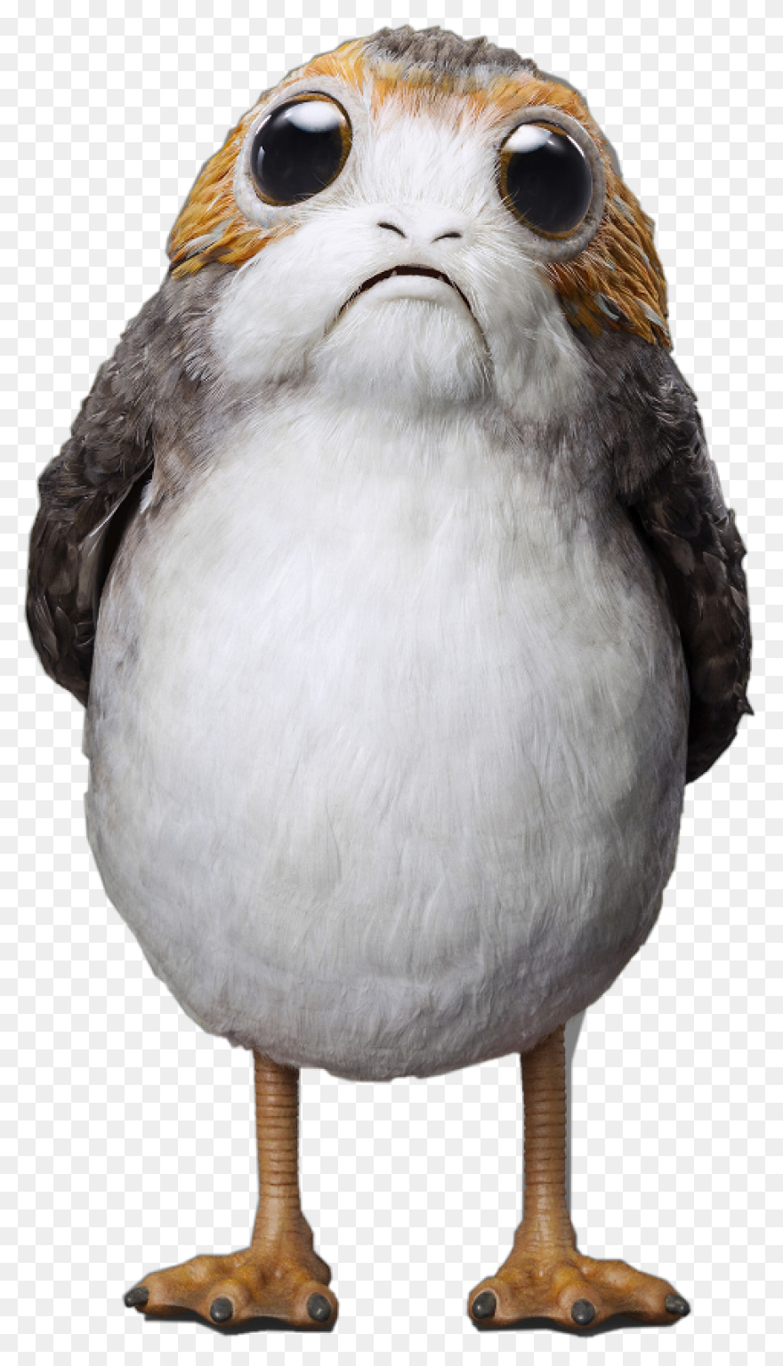 Download Porg Star Wars Plush - Porg