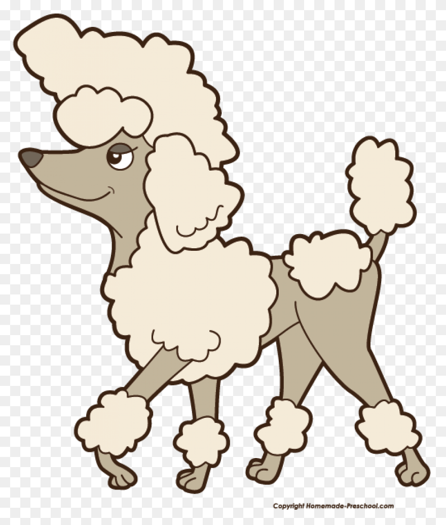 Click To Save Image Poodle - Poodle