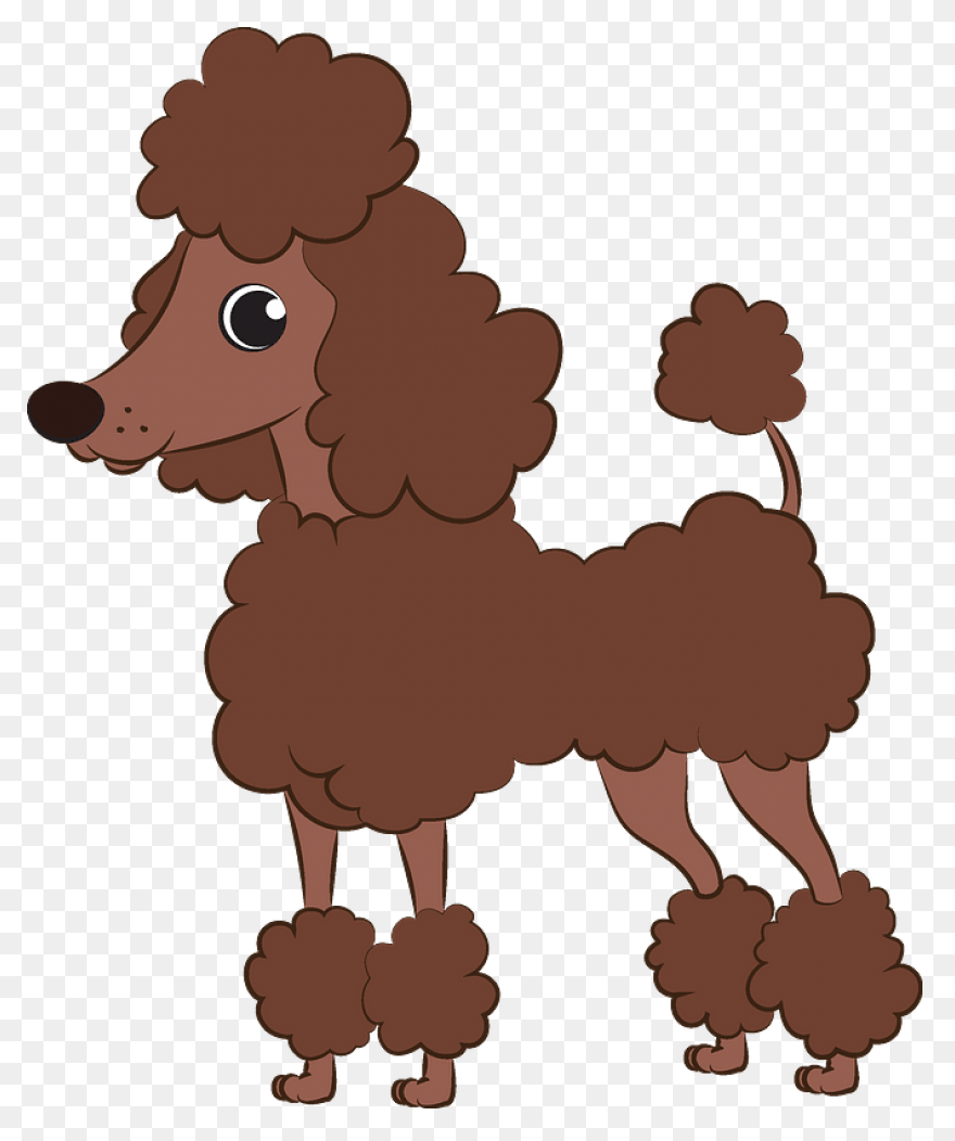 Poodle Clipart. Free Download .png - Poodle