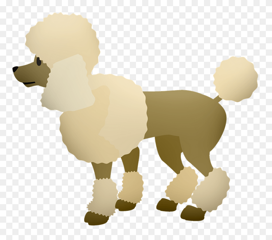 Click To Save Image - Poodle Clipar