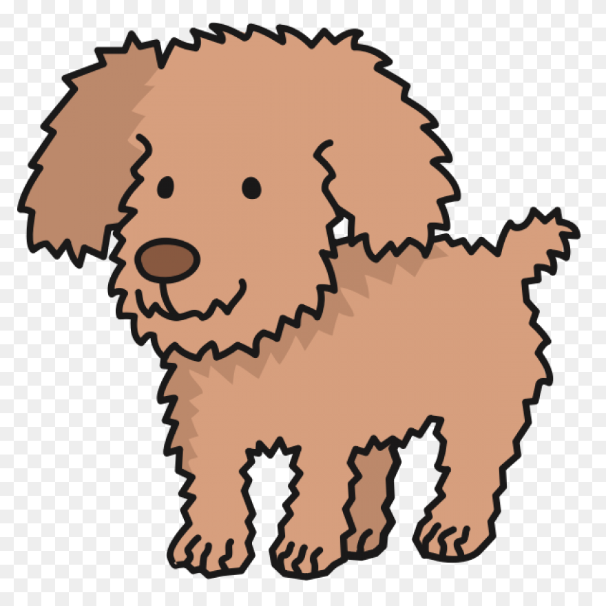 Toy Poodle | Free PNG - Poodle