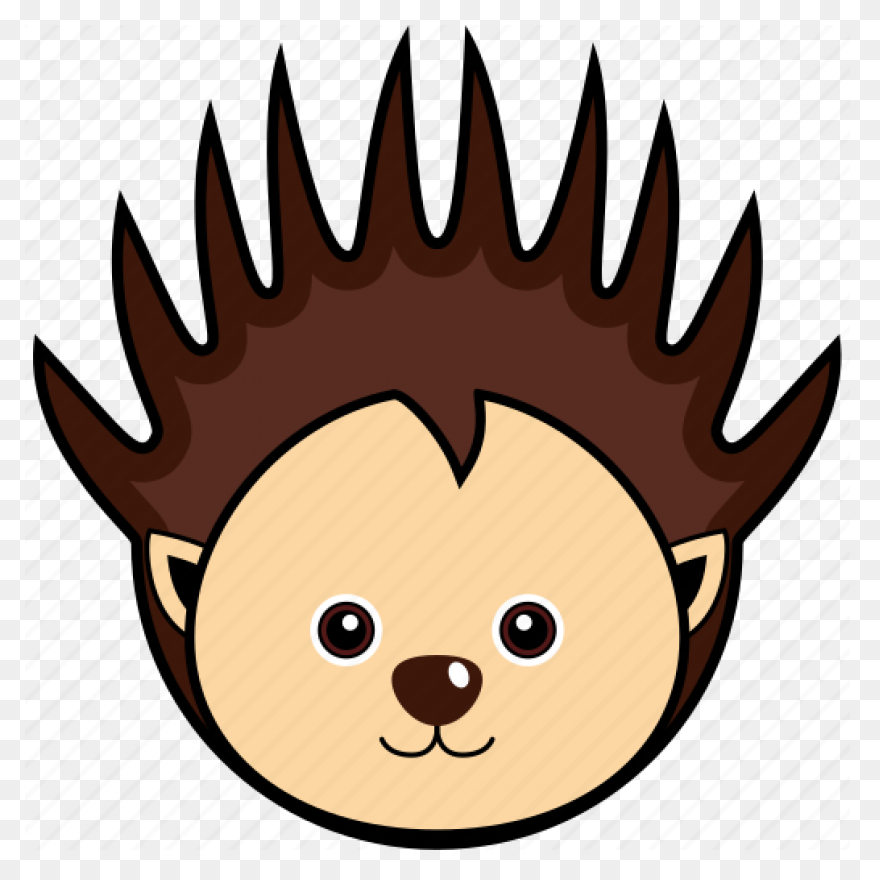 Animal Cute Face Head Porcupine - Porcupine