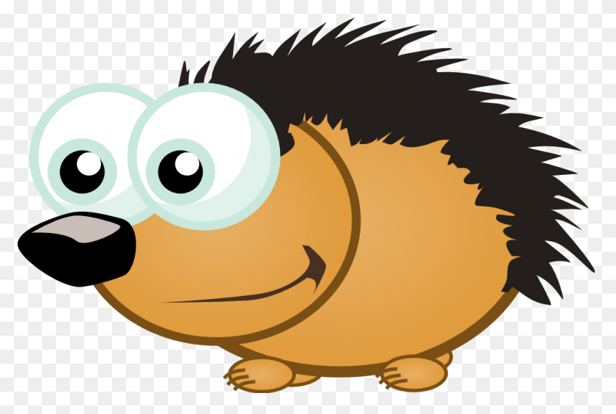 Animal, Cute, Face, Head, Porcupine