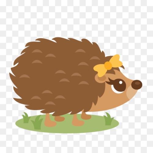 Animal, Cute, Face, Head, Porcupine
