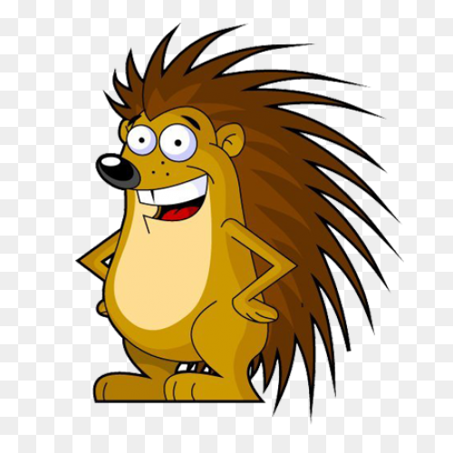 Animal, Cute, Face, Head, Porcupine