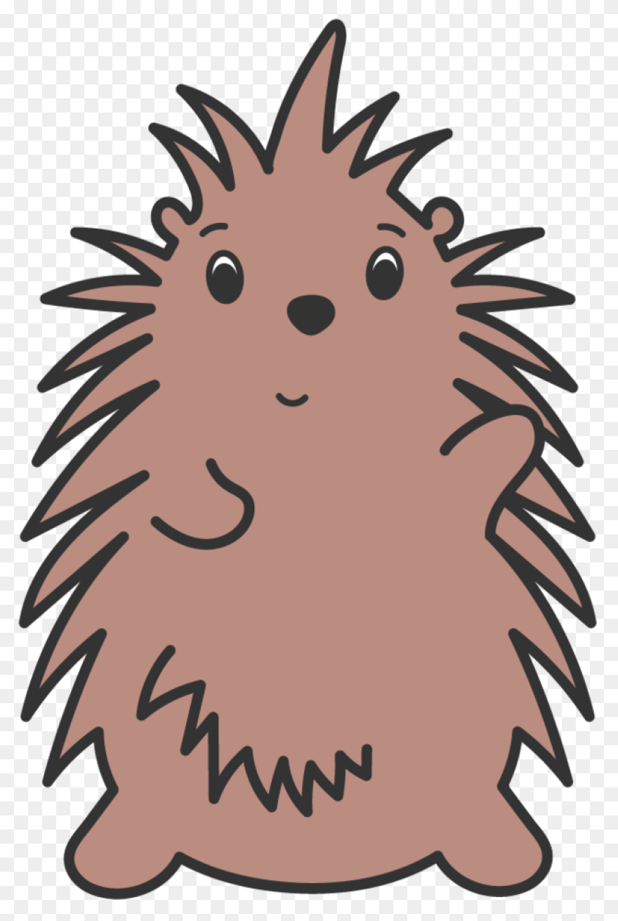 Animal, Cute, Face, Head, Porcupine