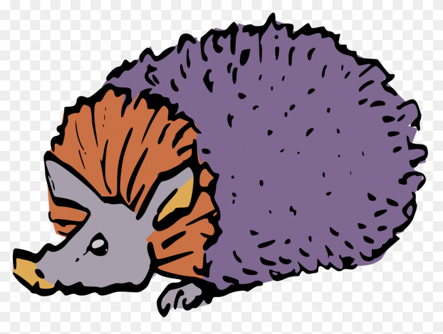 Animal, Cute, Face, Head, Porcupine