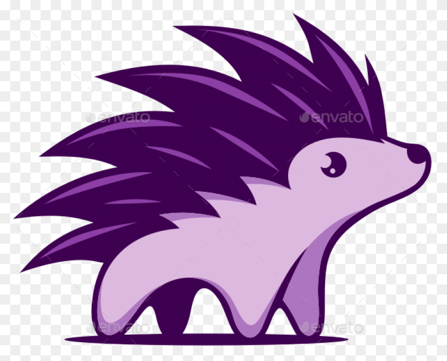 Animal, Cute, Face, Head, Porcupine