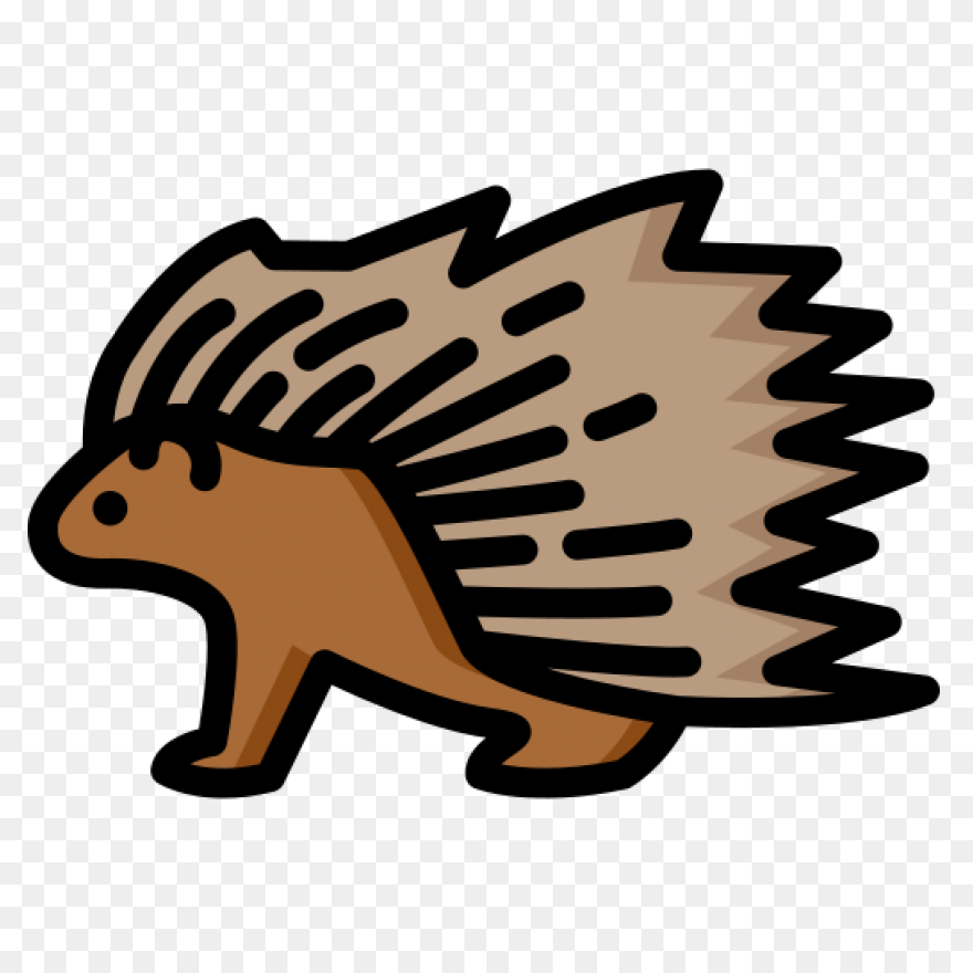 Animal, Cute, Face, Head, Porcupine