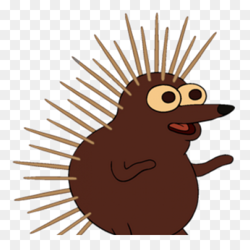 Animal, Cute, Face, Head, Porcupine
