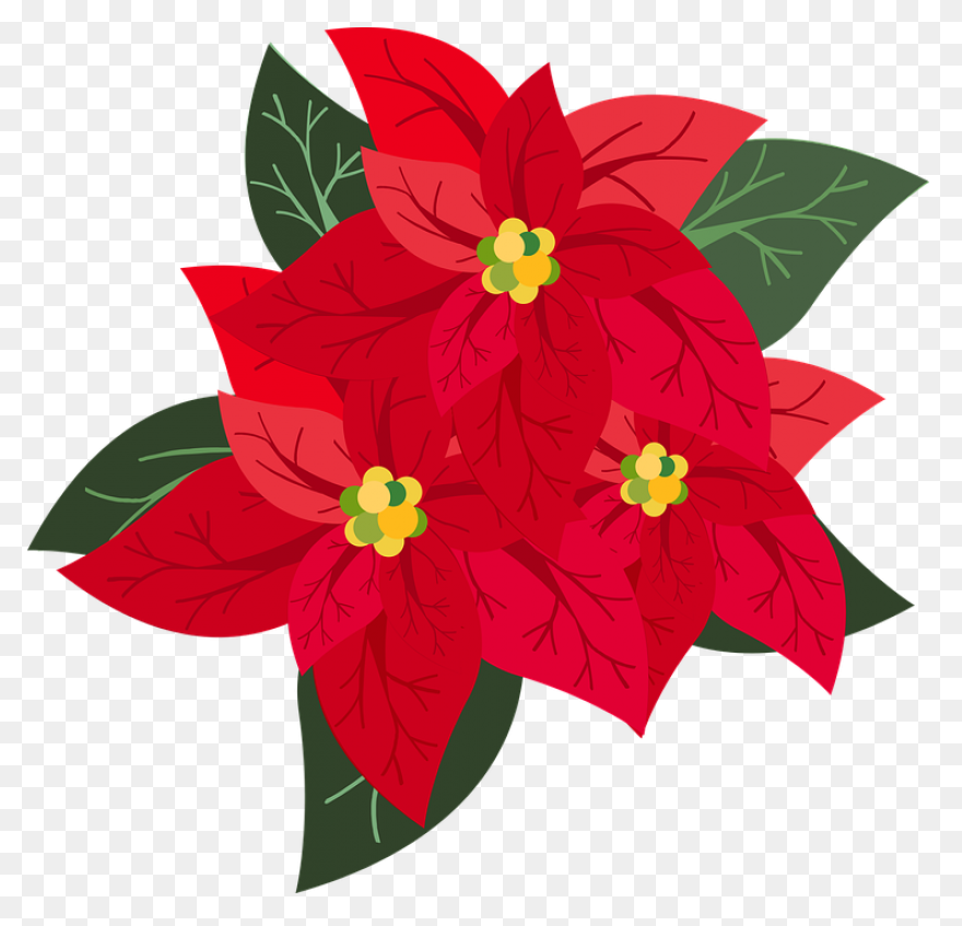 Poinsettia Clip Art | Christmas Car