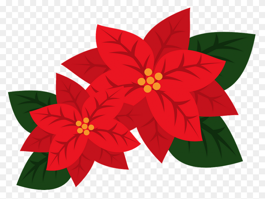 Poinsettia Clip Art | Christmas Car