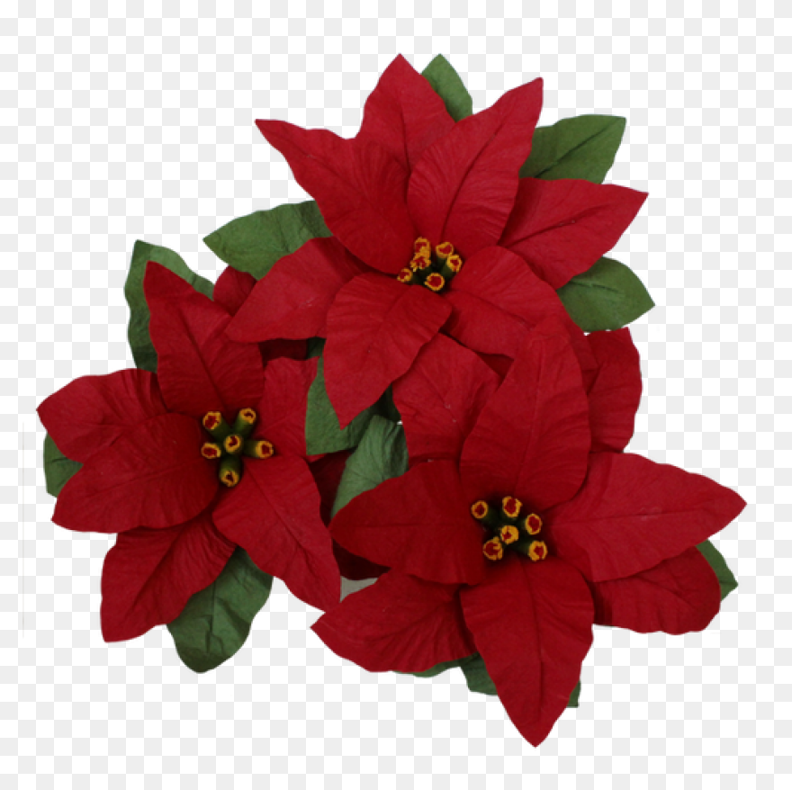 Poinsettia Clip Art | Christmas Car