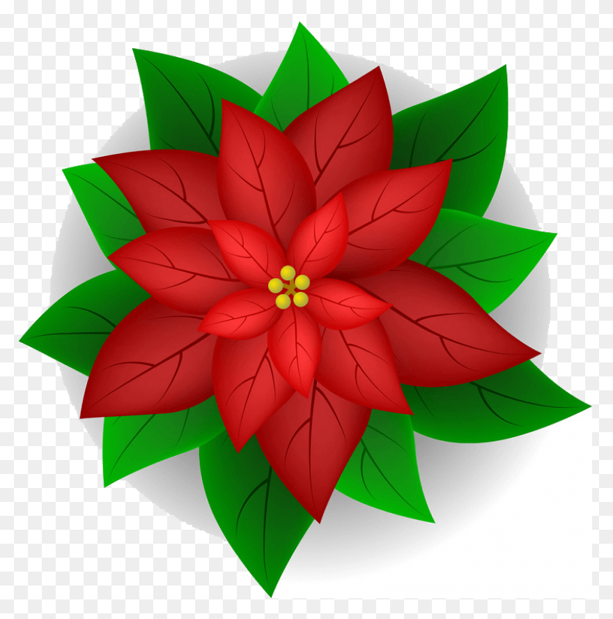 Poinsettia Clip Art | Christmas Car