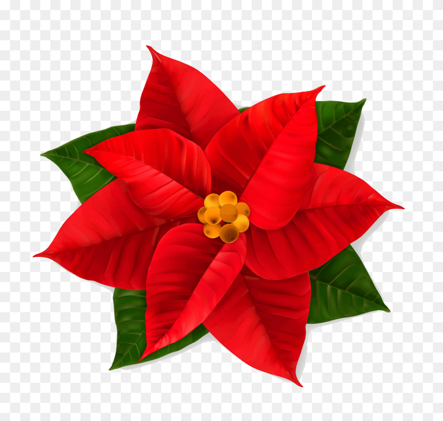 Poinsettia Clip Art | Christmas Car
