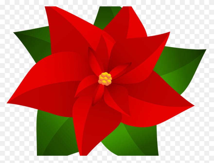 Poinsettia Clip Art | Christmas Car