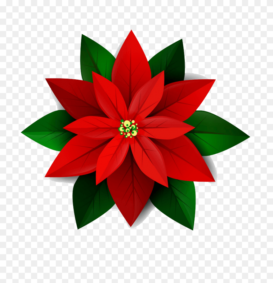 Poinsettia Clip Art | Christmas Car