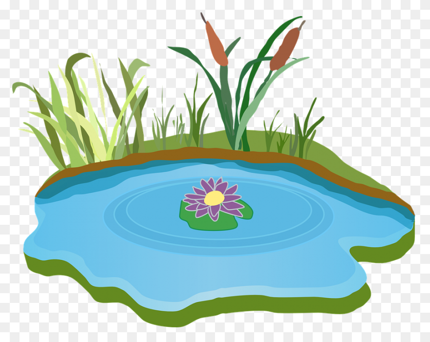 Free Image On Pond Water - Pond