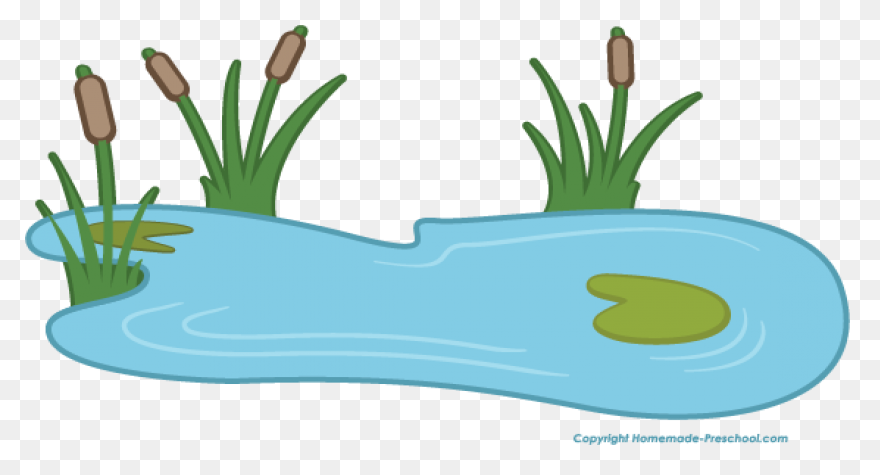 Pond Clipart - Clipart Suggest