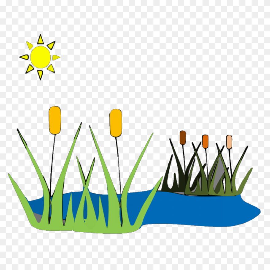 Pond Clipart - Clipart Suggest