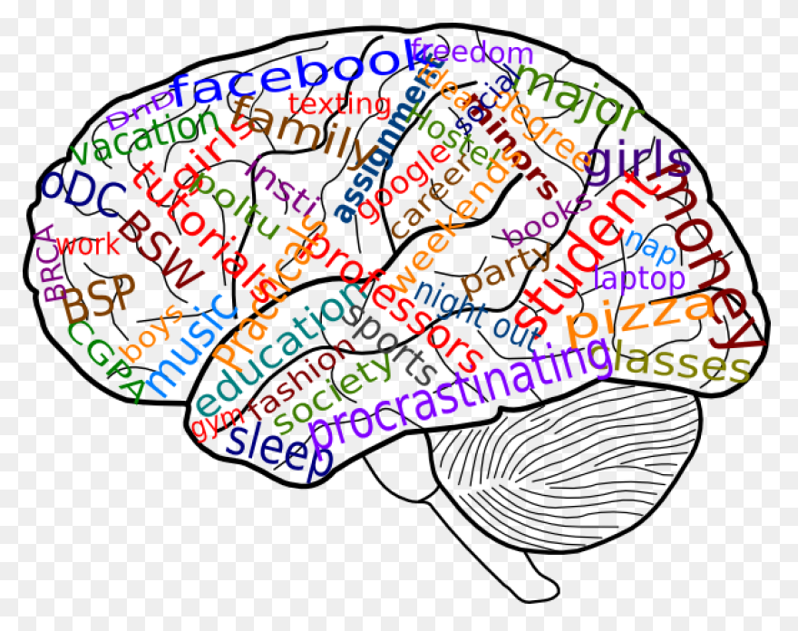 Erythrophobia Counselling At Trance