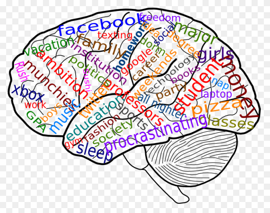 Erythrophobia Counselling At Trance