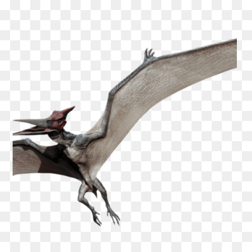 Pterodactyl Clipart - Clipart Sugge