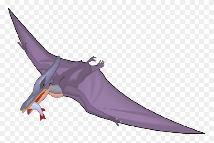 Pterodactyl Clipart - Clipart Sugge