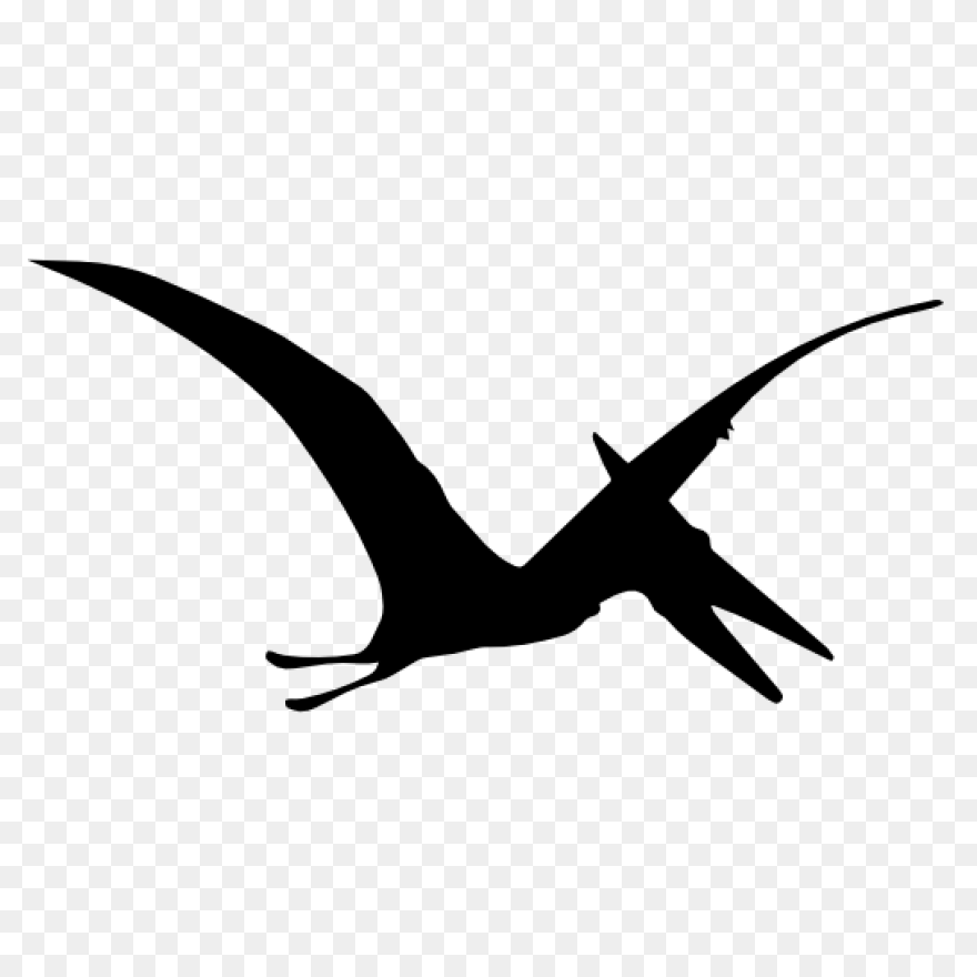 Pterodactyl Dinosaur Bird Free Vector - Pterodactyl