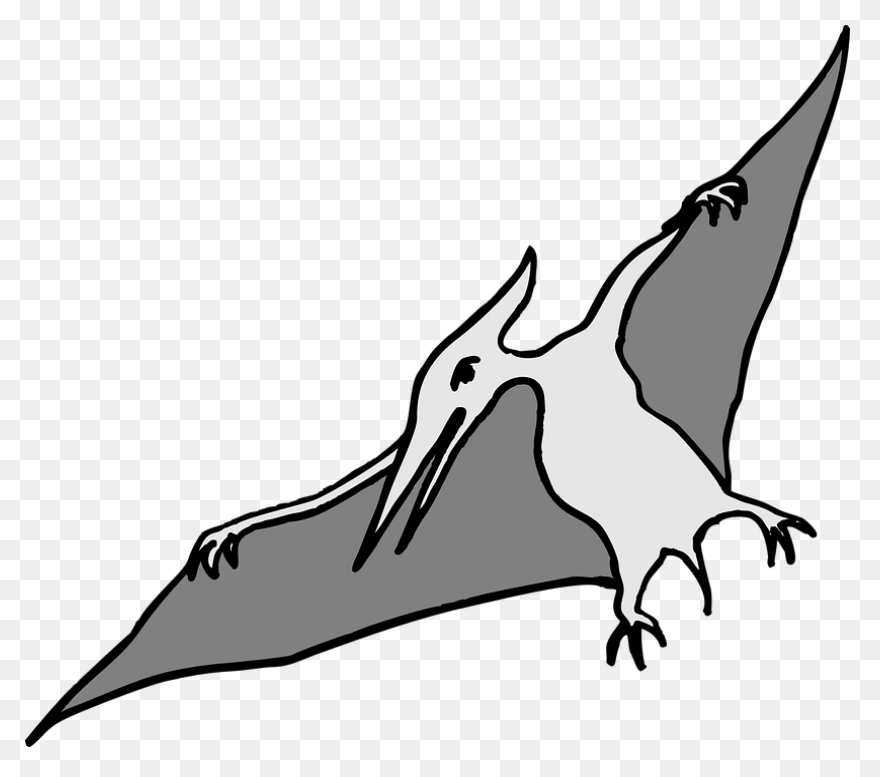 Pterodactyl Clipart - Clipart Sugge