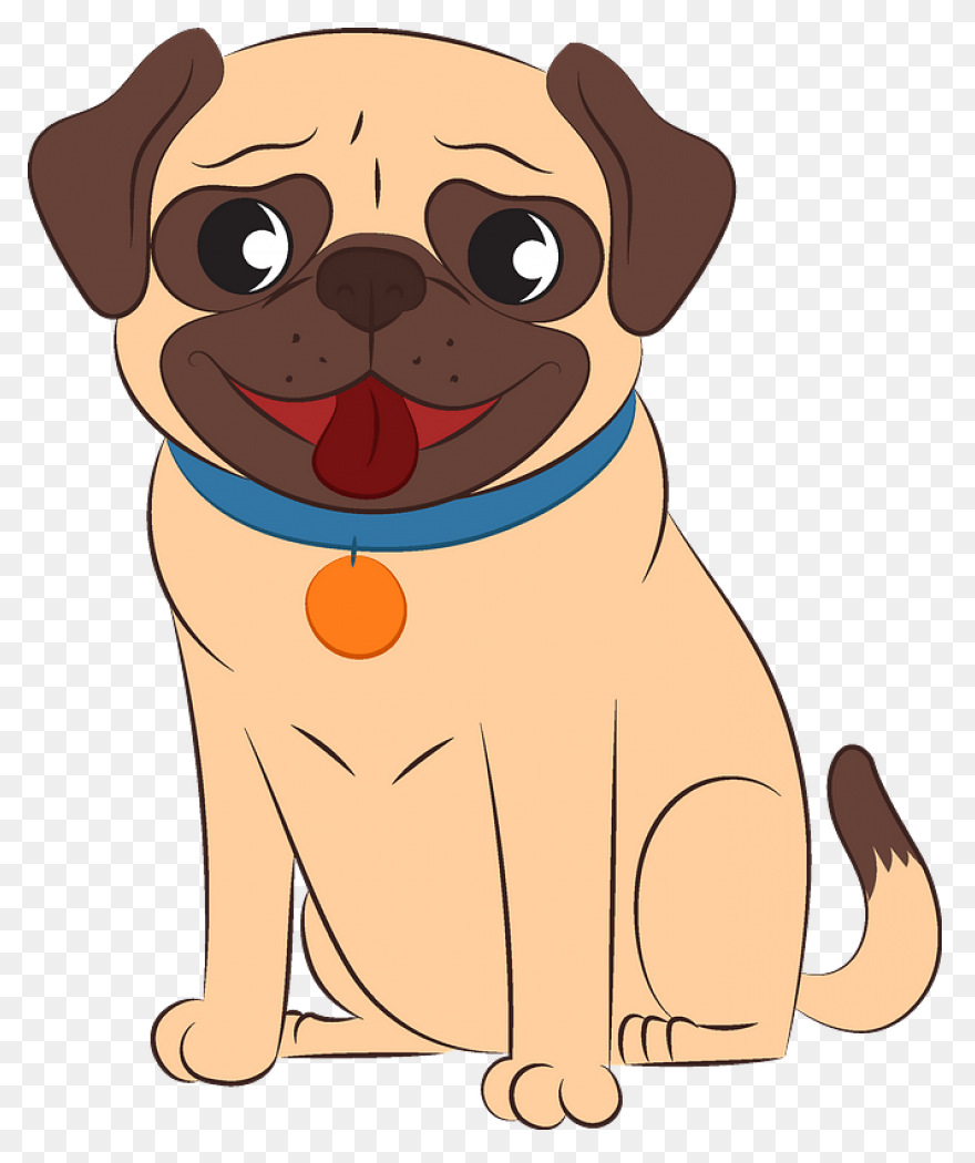 Crazy Pug Sticker