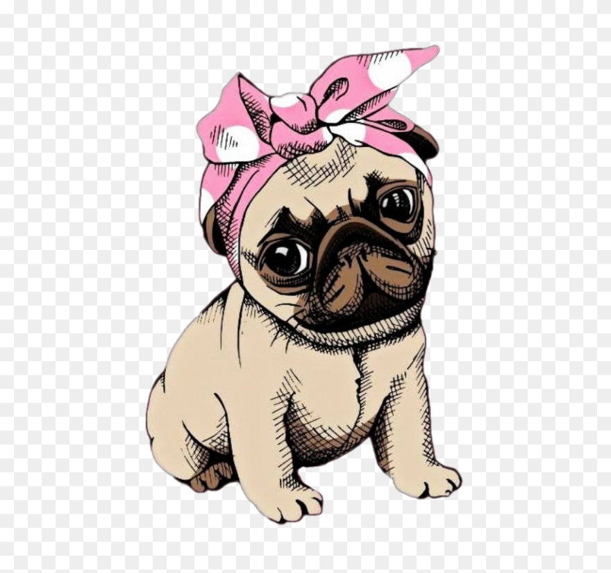 Crazy Pug Sticker