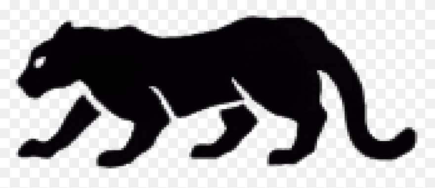 Puma (Pmmaf) - Market Capitalizatio