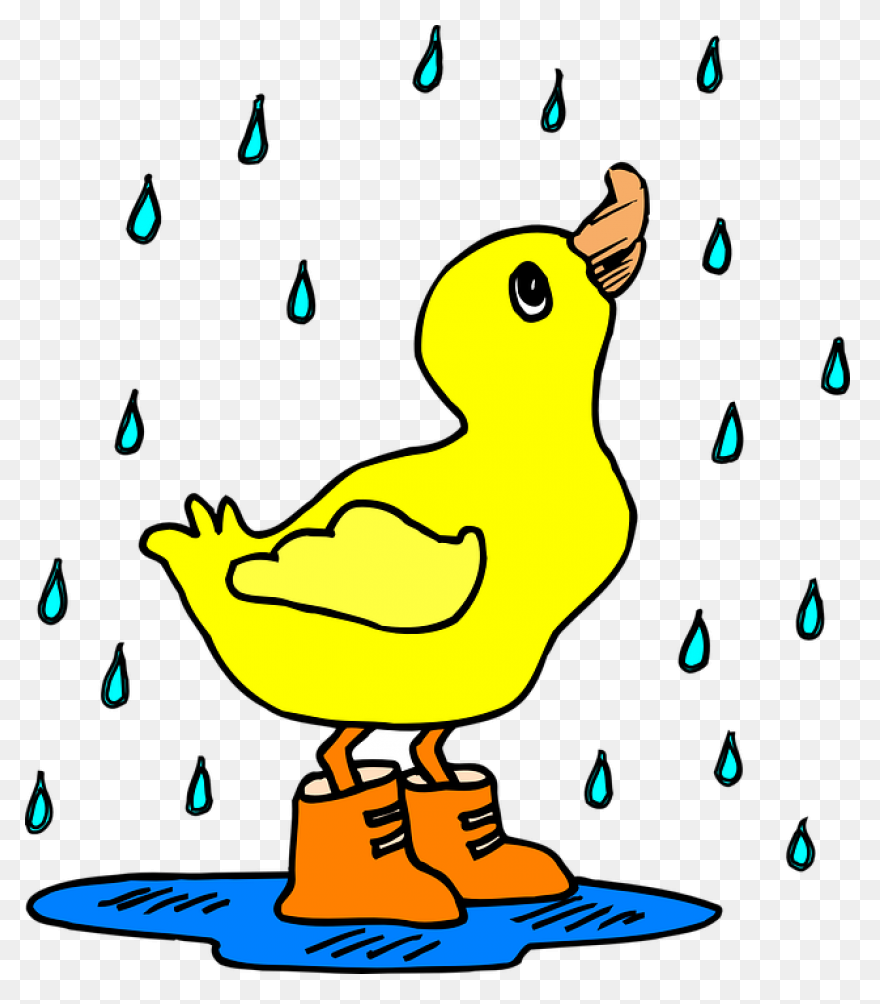 Mud Puddle Clipart - Clipart Sugges