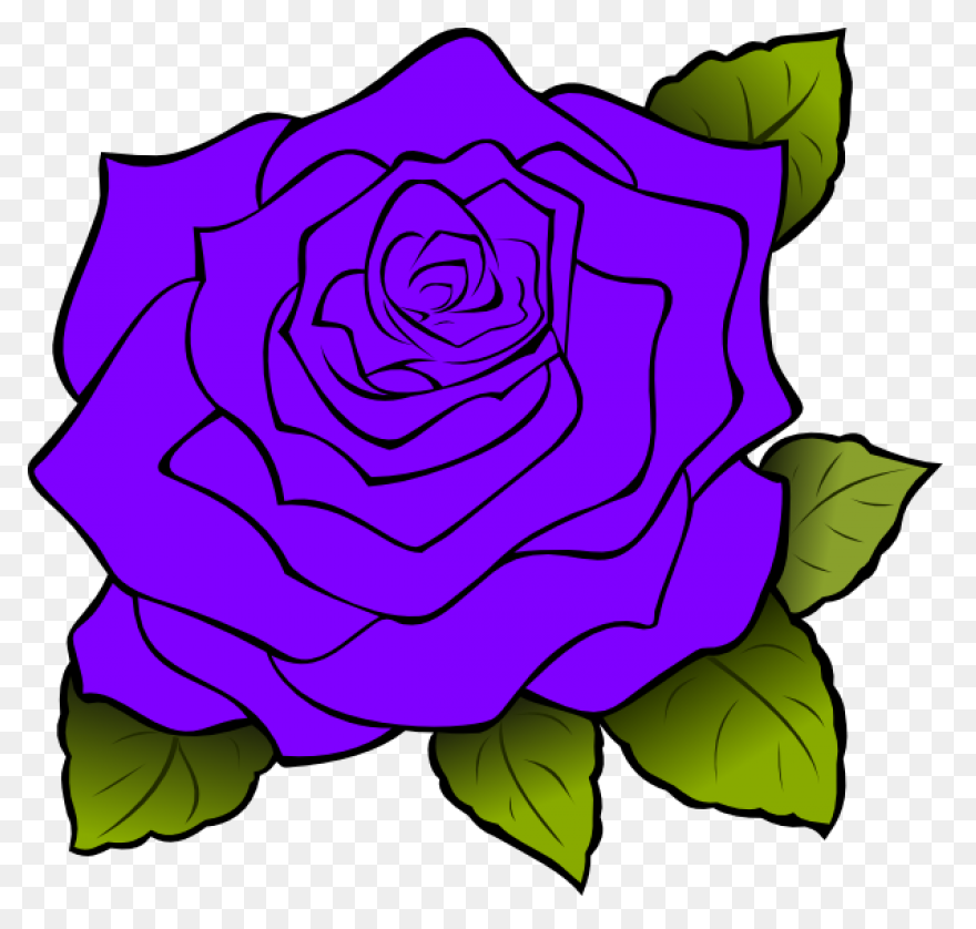24 Purple Watercolor Brush Stroke (
