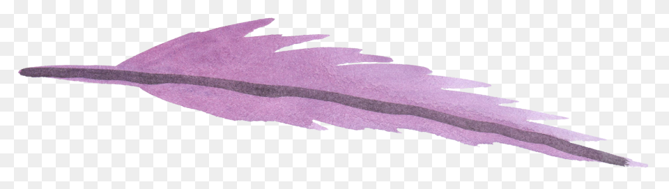 24 Purple Watercolor Brush Stroke (