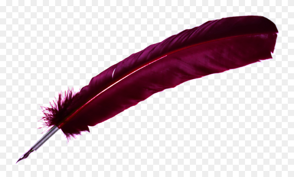 Quill Pen Clipart Free Download Cli