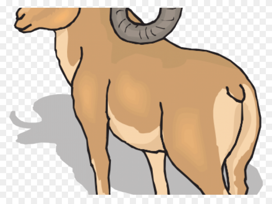 What Is A Ram(Random Access Memory)