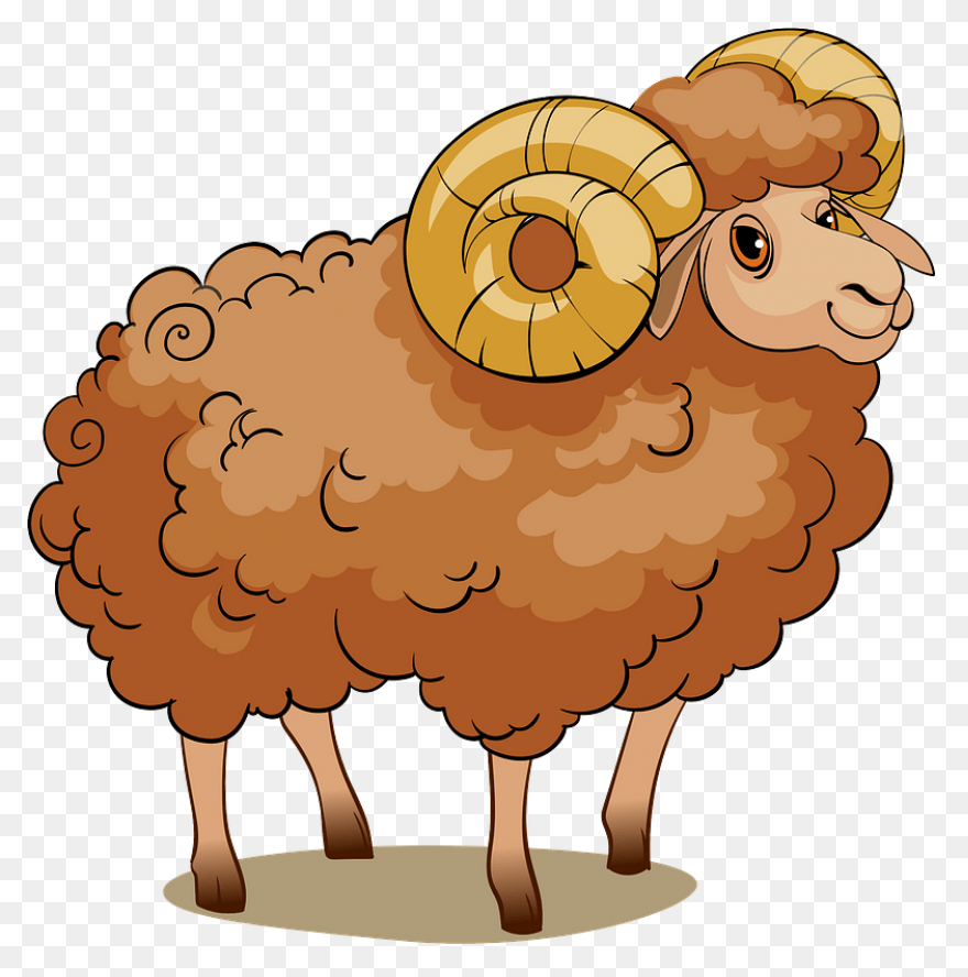 What Is A Ram(Random Access Memory)
