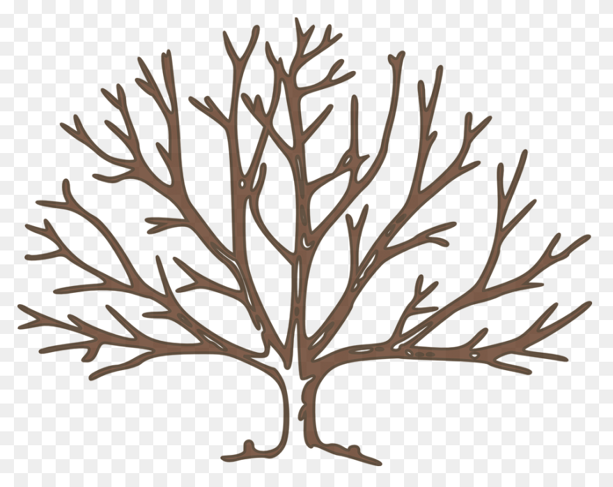 Tree Outline 17, Buy Clip Art - Ram