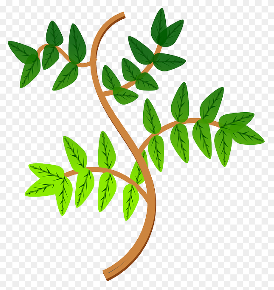 Tree Outline 17, Buy Clip Art - Ram