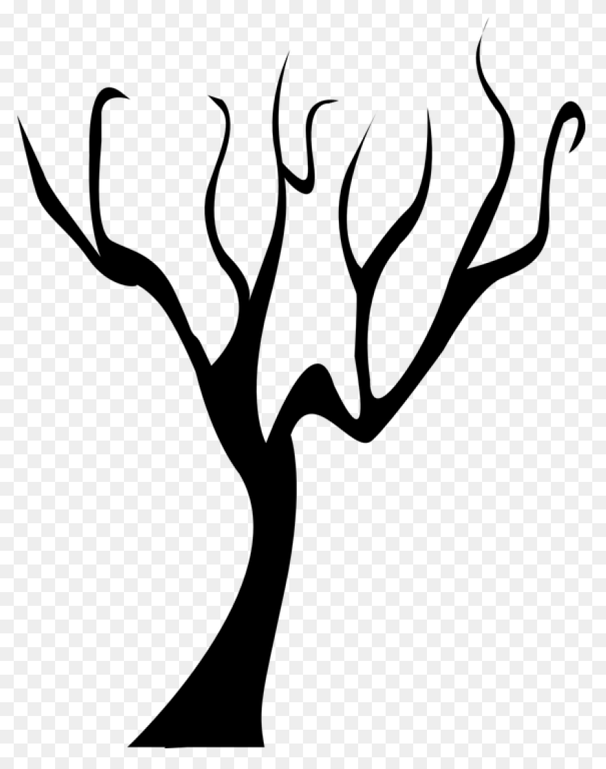 Tree Outline 17 Buy Clipart - Ramas