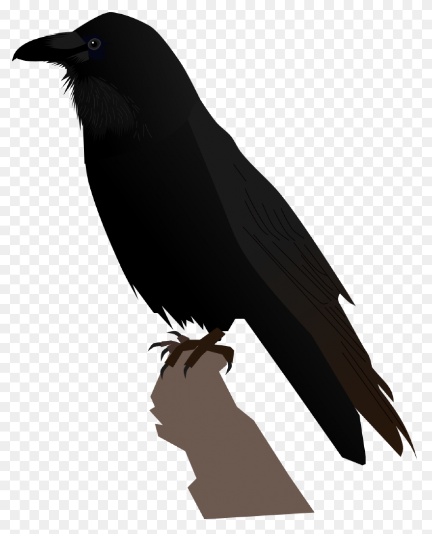 Raven Silhouette Clipart - ClipartF