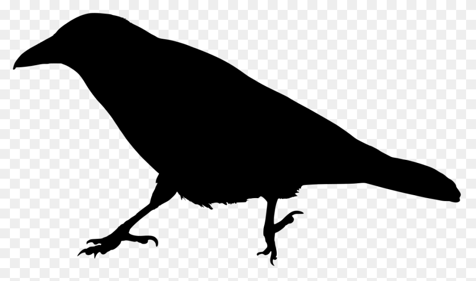 Raven Silhouette Clipart - ClipartF