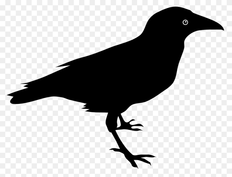 Raven Silhouette Clipart - ClipartF