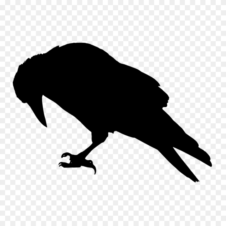 Raven Silhouette Clipart - ClipartF